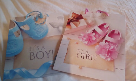 It's a Boy / It's A Girl  Card Gift Bag for all the Gifts